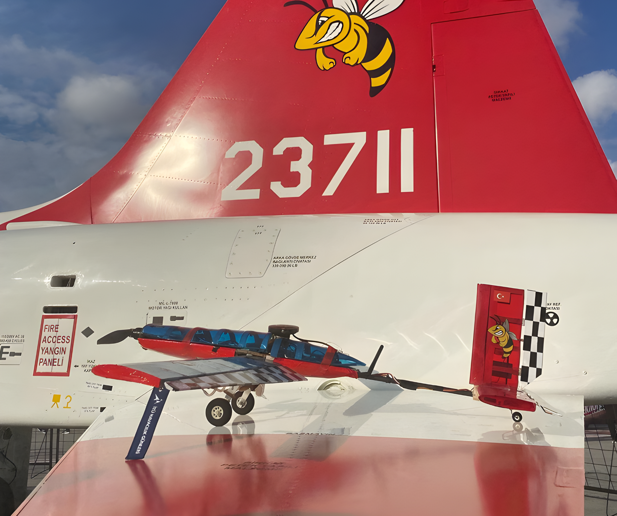 T34 kuyruğunda beklenmedik bir ziyaretçi.